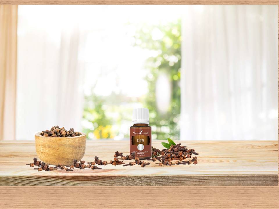 Antibacterial Activity of Clove Oil and Its Interaction with Imipenem